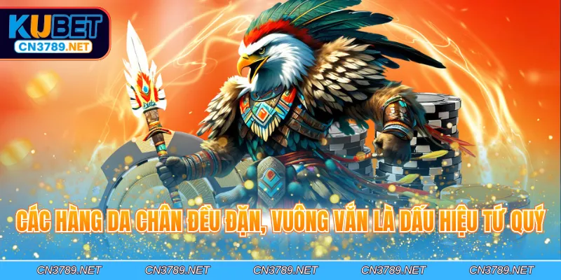 Các hàng da chân đều đặn, vuông vắn là dấu hiệu tứ quý