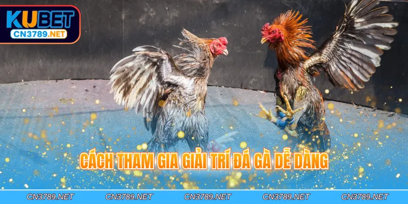 Cách tham gia giải trí đá gà dễ dàng