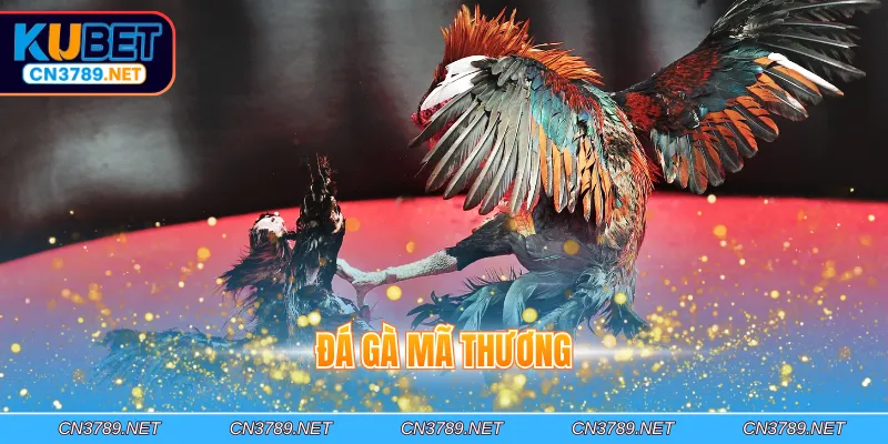 Đá gà mã thương