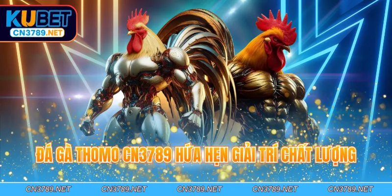 Đá gà Thomo CN3789 hứa hẹn giải trí chất lượng