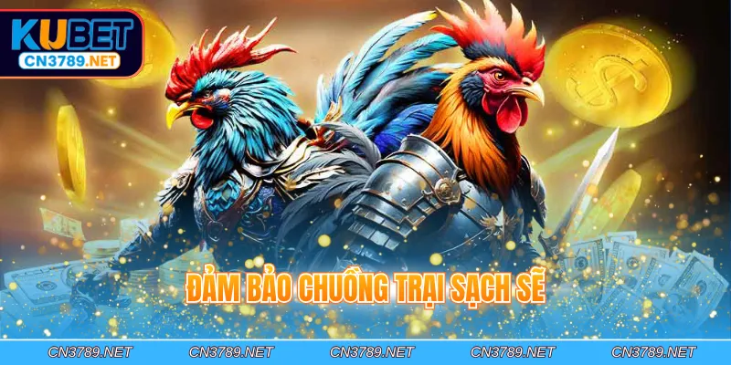 Đảm bảo chuồng trại sạch sẽ