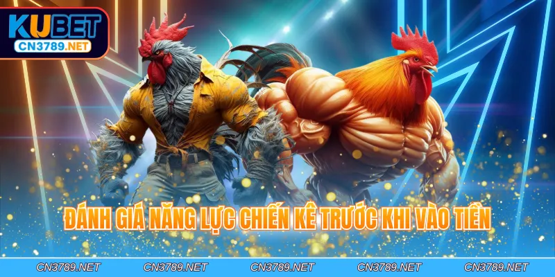 Đánh giá năng lực chiến kê trước khi vào tiền