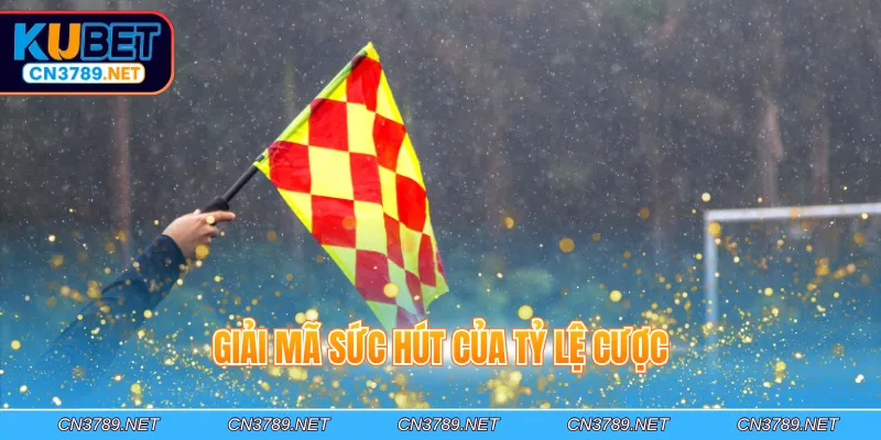 Giải mã sức hút của tỷ lệ cược