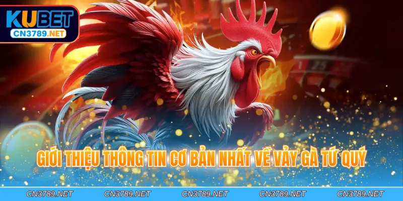 Giới thiệu thông tin cơ bản nhất về vảy gà tứ quý