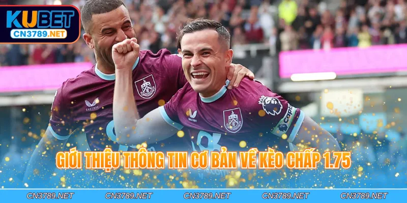 Giới thiệu thông tin cơ bản về kèo chấp 1.75