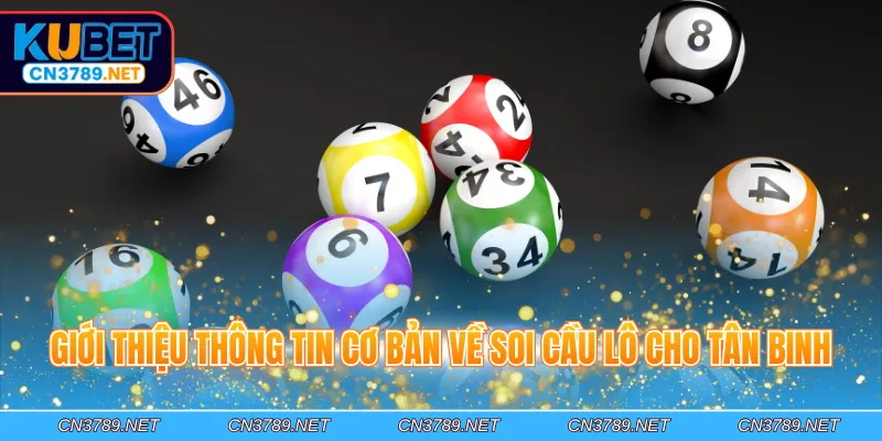 Giới thiệu thông tin cơ bản về soi cầu lô cho tân binh