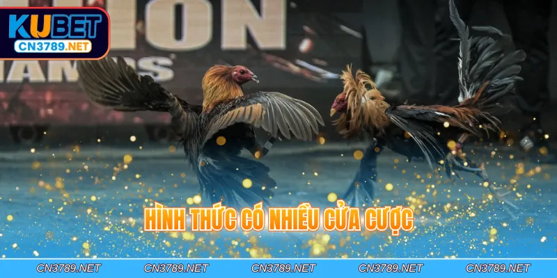 Hình thức có nhiều cửa cược