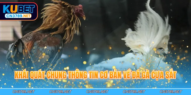 Khái quát chung thông tin cơ bản về đá gà cựa sắt