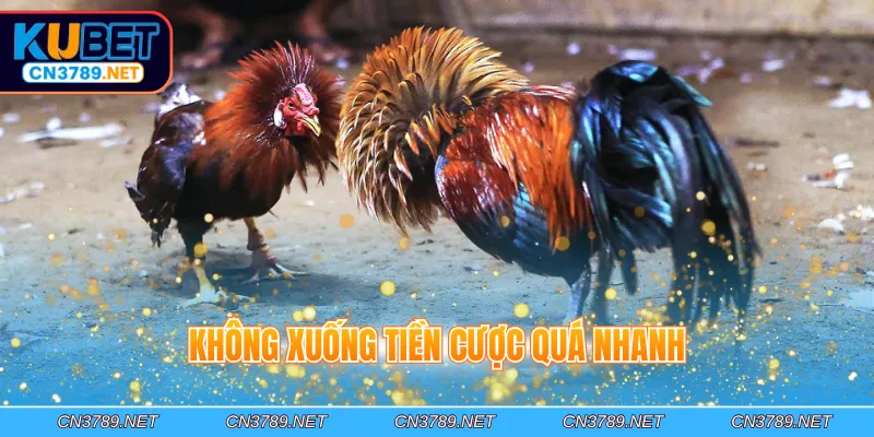 Không xuống tiền cược quá nhanh