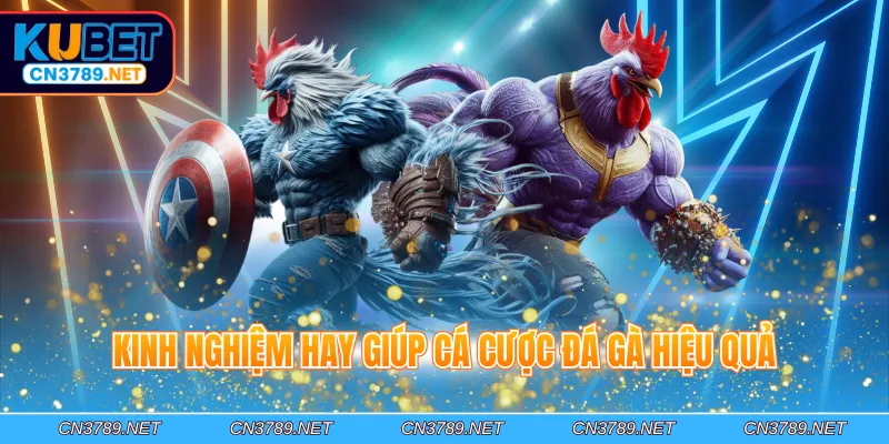 Kinh nghiệm hay giúp cá cược đá gà hiệu quả