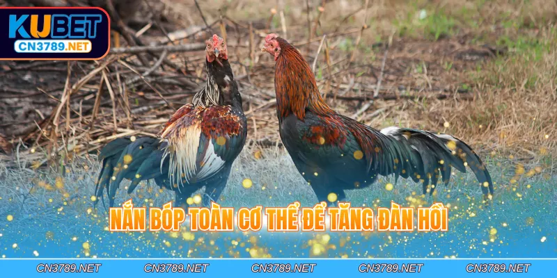 Nắn bóp toàn cơ thể để tăng đàn hồi