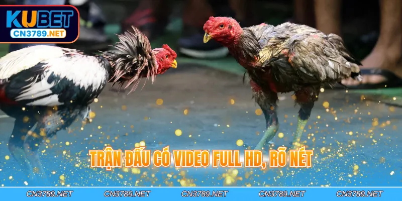 Trận đấu có video full HD, rõ nét